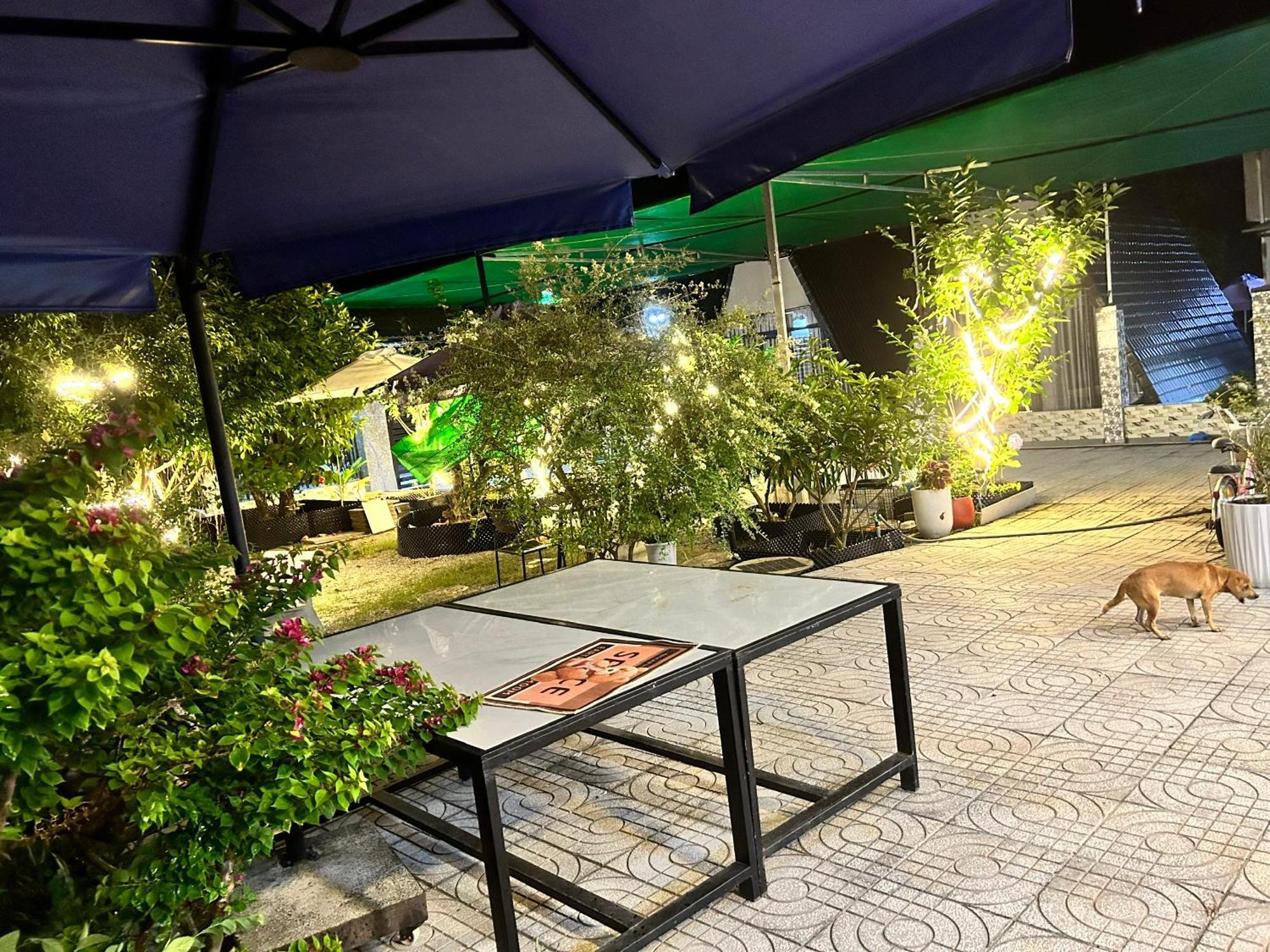 Homestay A Au Family บินห์เชา ภายนอก รูปภาพ