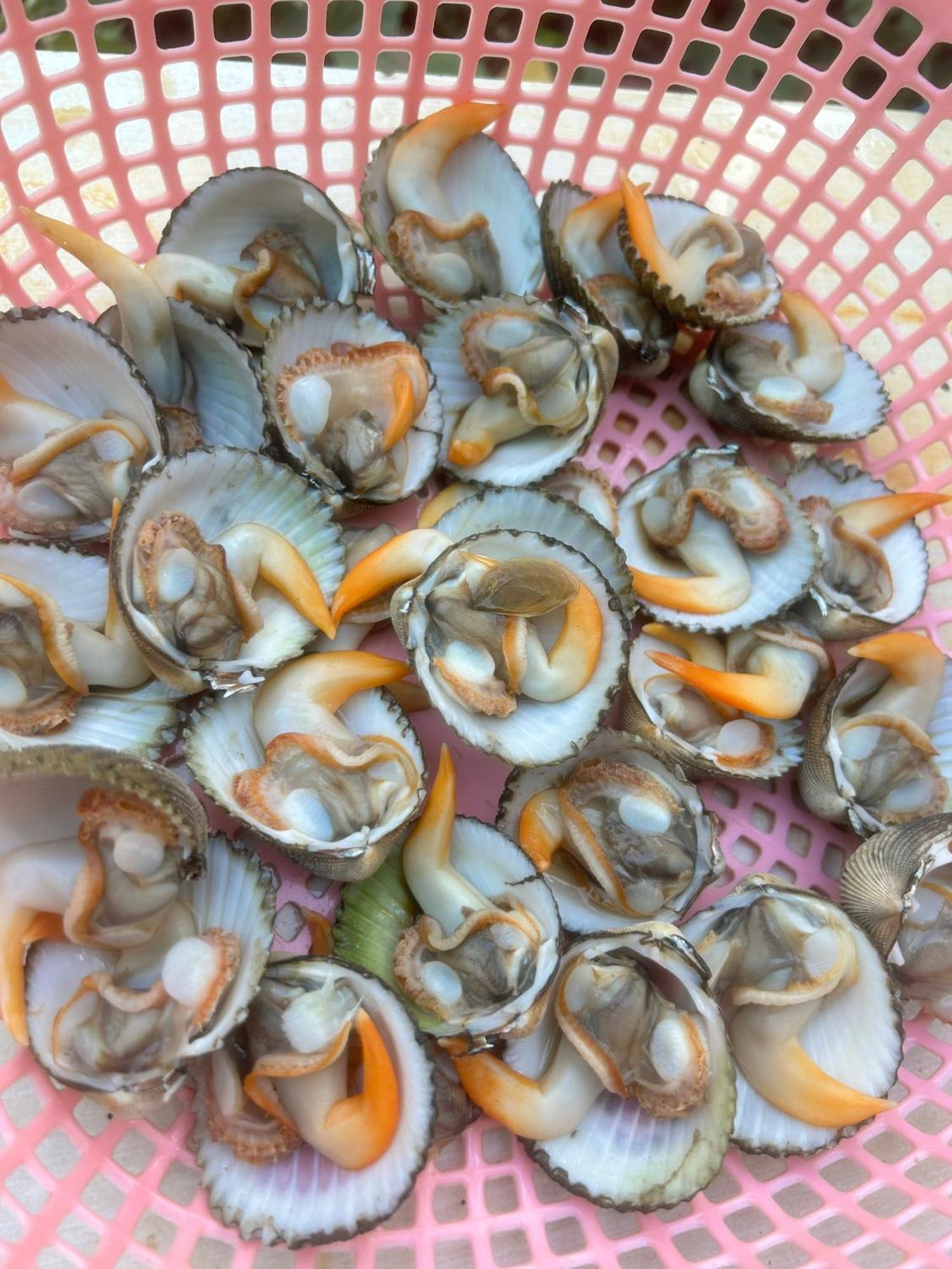 Homestay A Au Family บินห์เชา ภายนอก รูปภาพ